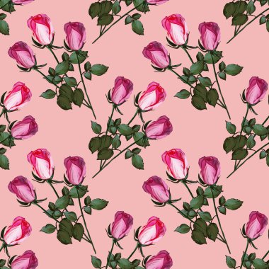 Güllerden yapılmış çiçek desenli. Pembe arka planda pembe çiçek tomurcukları olan bir resim. Kumaş ve tekstil için botanik illüstrasyon, ambalaj, duvar kağıdı, kart.