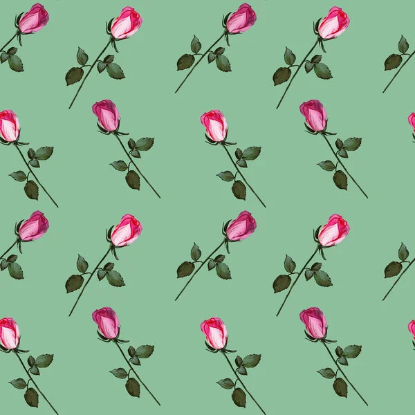 玫瑰做成的花纹无缝图案 色彩艳丽的画 粉色花蕾 浅绿色背景 织物和纺织品 卡片的植物学图解 — 图库照片