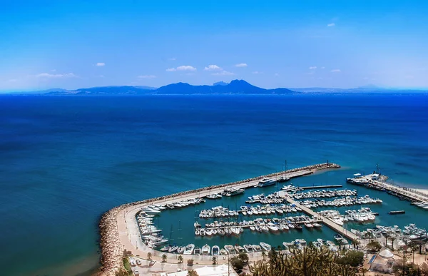 Sidi Bou Limanı Tunissia said