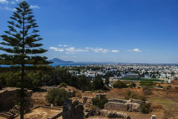 Mavi gökyüzü arka planda parlak yaz güneşi Tunus Carthage