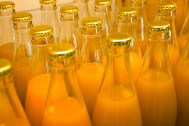 kış için bataklıklar. Meyve suları ve sebzelerin korunması.