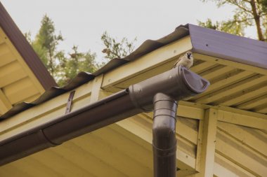 Serçe gökyüzüne karşı çatı yakınında oluk üzerinde oturur.