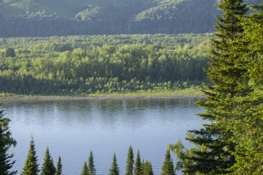 ormanda göl. Doğal güzellik. Rusya'da Taiga Sibirya.