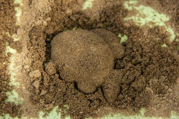 Děti si hrají v karanténě s Moldy a noži. Tvarování písečných postav. — Stock fotografie