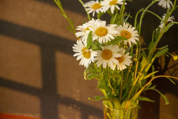 White daisies in a bouquet on a black background. A shadow falls on the flowers.