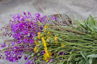 korozyon izleri ile oyuncak metal makine. Makinenin bezine pas. Araba tarafından Fireweed çiçekler.