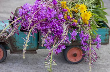 korozyon izleri ile oyuncak metal makine. Makinenin bezine pas. Araba tarafından Fireweed çiçekler.