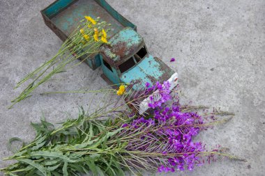 korozyon izleri ile oyuncak metal makine. Makinenin bezine pas. Araba tarafından Fireweed çiçekler.
