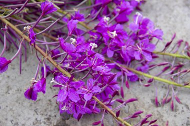 korozyon izleri ile oyuncak metal makine beton üzerinde. Makinenin bezi üzerinde Rust.