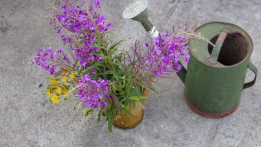 Eski sulama olabilir yangın ot stand çiçekler. Sulama olabilir korozyon belirtileri vardır. Sulama olabilir pas.