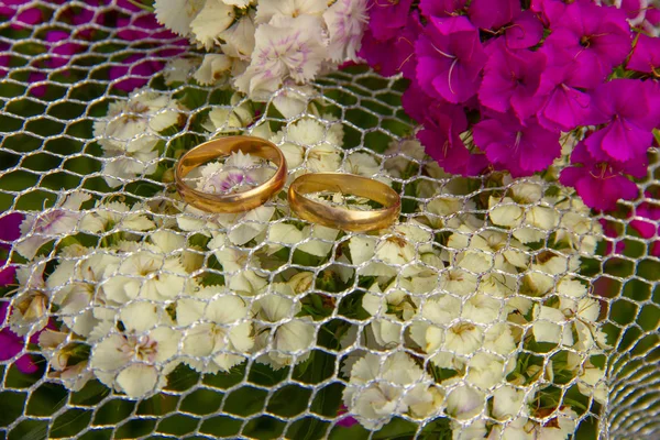 Anillos de boda se encuentran en una rejilla. Los anillos de boda se encuentran en las flores de los claveles. preparación para la ceremonia de boda . —  Fotos de Stock