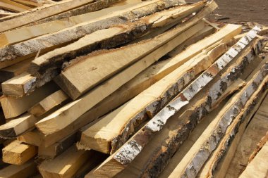 ağaçları küçük barlara biçerek. ağaç işleme. kış için günlük.