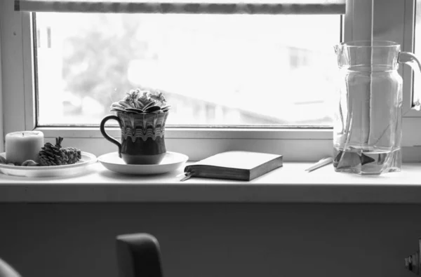 Fiore viola in una pentola, una caraffa con una foda e un diario per pianificare la giornata sulla finestra.bianco e nero — Foto Stock