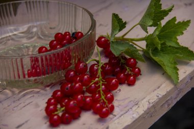 Taze toplayıp kırmızı kuş üzümü ve pembe bir bankta yaprakları Kase