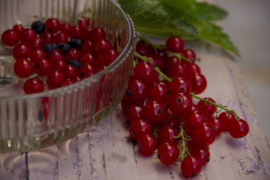 Taze toplayıp kırmızı kuş üzümü ve pembe bir bankta yaprakları Kase