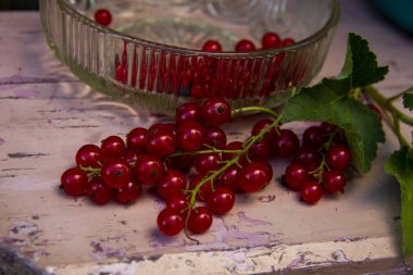 Taze toplayıp kırmızı kuş üzümü ve pembe bir bankta yaprakları Kase