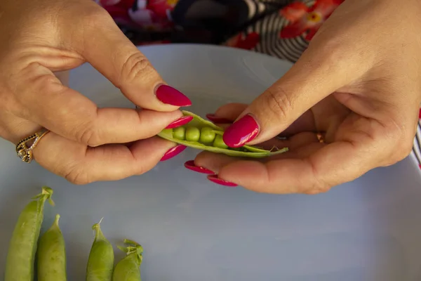 Manos femeninas abren las vainas de guisantes verdes — Foto de Stock