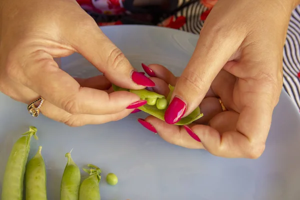 Manos femeninas abren las vainas de guisantes verdes — Foto de Stock