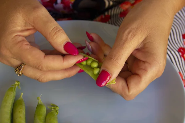 Manos femeninas abren las vainas de guisantes verdes — Foto de Stock