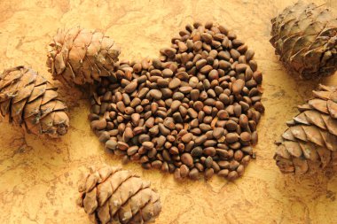 Çam kozalakları fındıktan yapılmış bir kalbin yanında yatar.