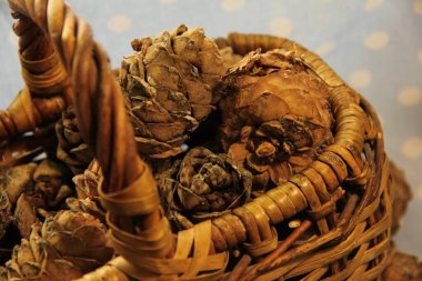 Çam kozalakları mavi arkaplanda hasır bir sepette