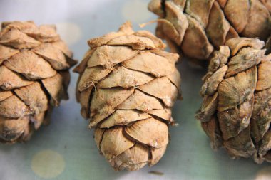 Çam kozalakları mavi arkaplanda hasır bir sepette