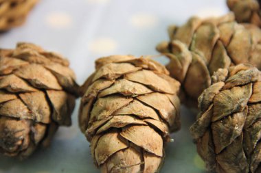 Çam kozalakları mavi arkaplanda hasır bir sepette