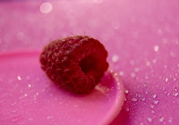 Une framboise se trouve sur une plaque en plastique rose sur un fond rose. Bokeh ! — Photo