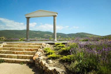 Harika Yunan kemeri. Üzüm bağları ve Kırım dağları ve çiçekli lavanta inanılmaz manzarası. dağlar ve üzüm ve lavanta güzel manzara