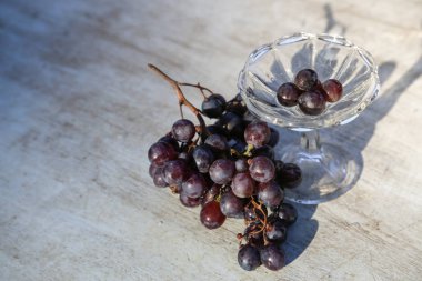 Beyaz arka planda koyu mavi üzüm. Tam alan derinliği