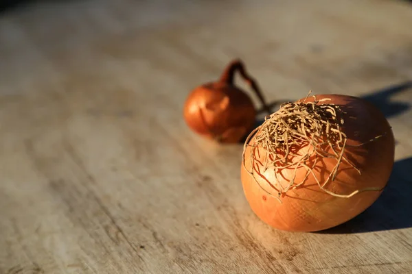 Dos cebollas frescas sobre madera rústica ligera — Foto de Stock