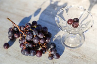 Beyaz arka planda koyu mavi üzüm. Tam alan derinliği