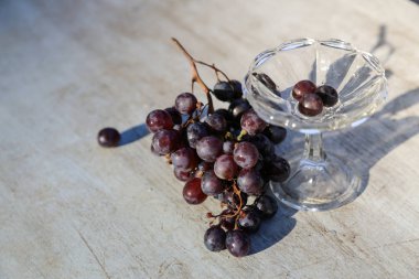Beyaz arka planda koyu mavi üzüm. Tam alan derinliği