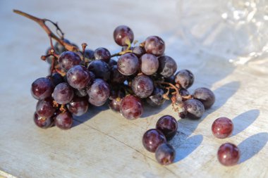 Beyaz arka planda koyu mavi üzüm. Tam alan derinliği