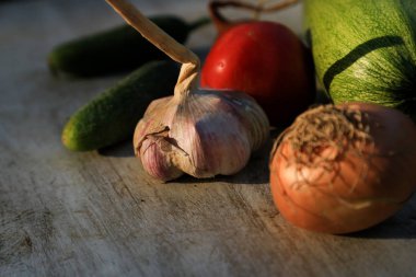 taze bahçe sebzeleri-sarımsak, soğan, kabak, domates, salatalık açık ahşap arka planda