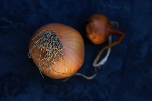 Três cebolas frescas em madeira escura rústica — Fotografia de Stock