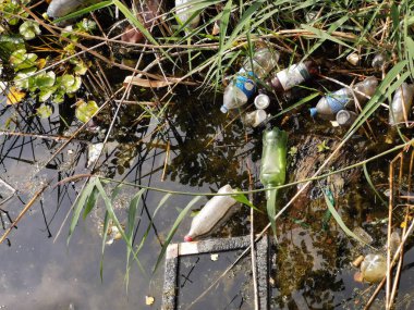 Floating debris in the river and in the shore.Ecological problem, environmental pollution clipart