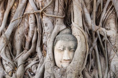 Bir Buddha Başkanı Wat Mahata, Ayutthaya, Tayland