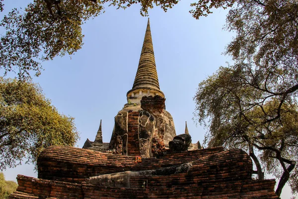 Ayutthaya Tayland Antik Stupa Ile Budist Tapınağı — Stok fotoğraf