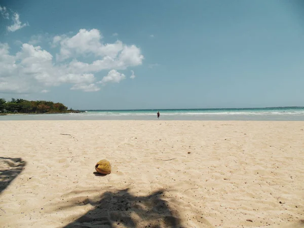 Palm Bomen Turquise Water Witte Zandstranden Het Caribisch Gebied — Stockfoto