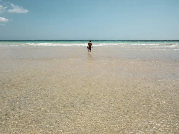 Palmeiras Água Turquise Praias Areia Branca Caribe — Fotografia de Stock