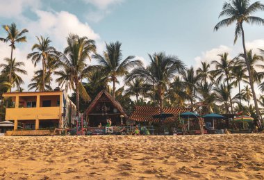 Sayulita plajında palmiye ağaçları ile günbatımı, Nayarit, Meksika