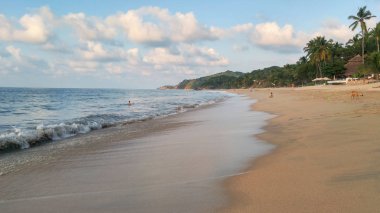 Sayulita plajında palmiye ağaçları ile günbatımı, Nayarit, Meksika