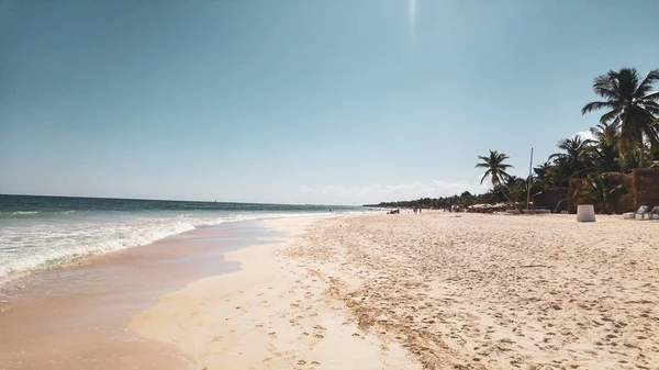 Pôr Sol Com Palmeiras Sayulita Beach Nayarit México — Fotografia de Stock