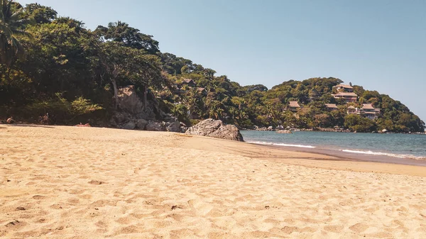 Sayulita plajında palmiye ağaçları ile günbatımı, Nayarit, Meksika