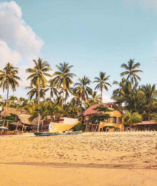 Zonsondergang Met Palmbomen Sayulita Beach Nayarit Mexico — Stockfoto