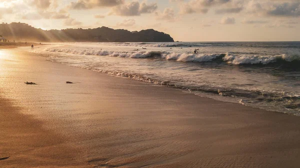 Sayulita plajında palmiye ağaçları ile günbatımı, Nayarit, Meksika