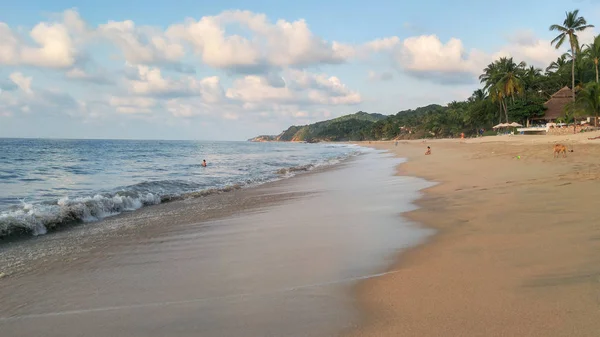 Sayulita plajında palmiye ağaçları ile günbatımı, Nayarit, Meksika