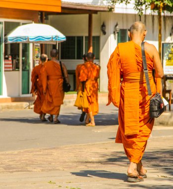 Buda heykelleri wat pho Tapınağı, bangkok