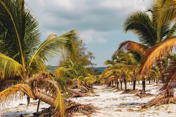 Água Azul Turquesa Praia Areia Branca Caribe — Fotografia de Stock